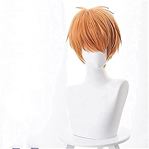 Cosplay Wig Peluca de cosplay de anime de Navidad for cesta de frutas Soma Souma Kyo, postizos de gorra, Halloween, fiesta de disfraces, carnaval, vida nocturna, conciertos, bodas, accesorios de disfr