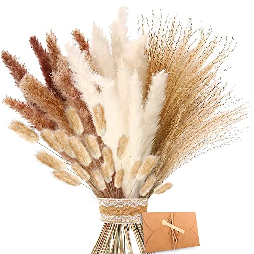 Pampas Secas Decoracion - 41 Piezas Hierba Natural de Pampas Secas, Marrón、Hierba de pampa Blanca Frondas Esponjosas, Ramo de flores secas, Boda Decoracion, para Arreglos Florales Decoración del Hogar
