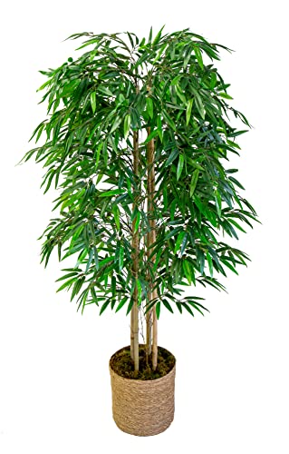 Maia Shop Bambú Cañas Naturales, Ideal para Decoración de Hogar, Planta, Árbol Artificial (150 cm)