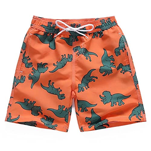 FedMois Shorts de Playa Bañador de Niños con Forro de Mesh (Pack de 1), Dinosaurio, 13-14 años