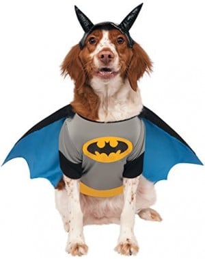 Batman – Disfraz Mascota, L