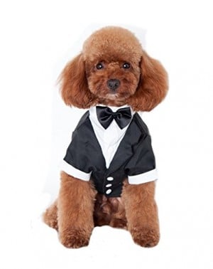 Traje para perros mascotas Elegante boda novio