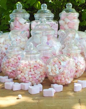 Tarros de plástico Set de fiesta - KIT de 19 botes decoración varios tamaños