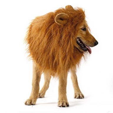 Peluca de León para Perro – Disfraz de Mascota Perro