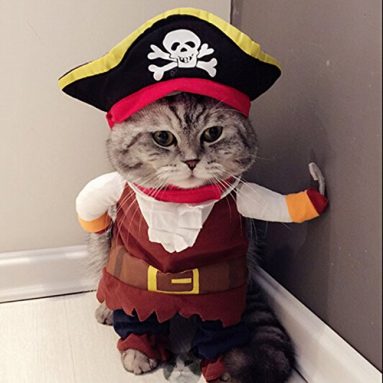 Disfraz de pirata para mascota, gato, perro, divertido con sombrero