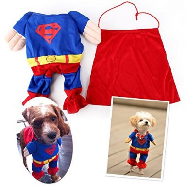 Disfraz Superman perro gato Ropa para mascotas