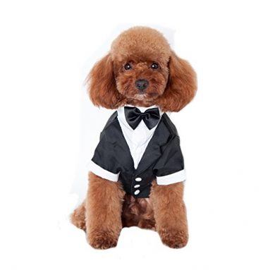 Traje para perros mascotas Elegante boda novio