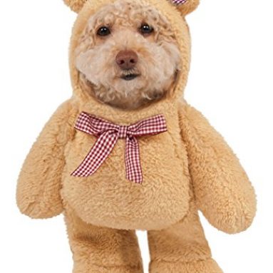 Disfraz de Walking oso de peluche mascota, XS