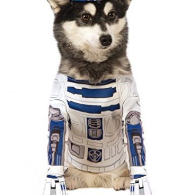 Disfraz R2-D2 Star Wars para Perro