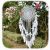 Atrapasueños Grande Plumas Blancas Macramé para Boda Vintage decoración 35 cm círculo 115 cm de Largo (Blanco)