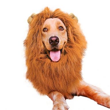 Peluca de León para perro ajustable – Mascotas disfraz